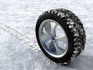 Winterreifen Bridgestone Ice Cruiser 7000: Bewertungen