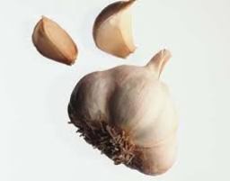 Wann Knoblauch für den Winter zu pflanzen