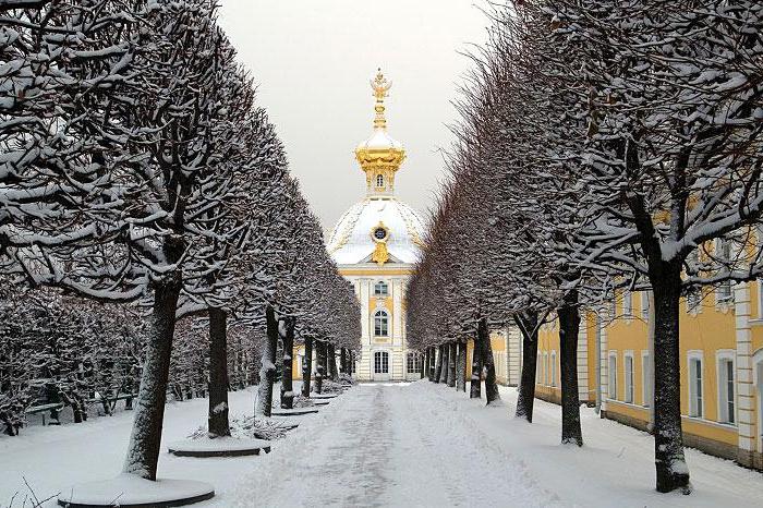 um das neue Jahr in St. Petersburg zu feiern