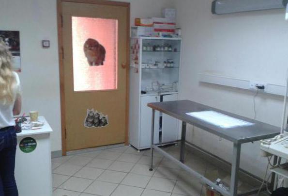 Die besten Tierkliniken in Noginsk