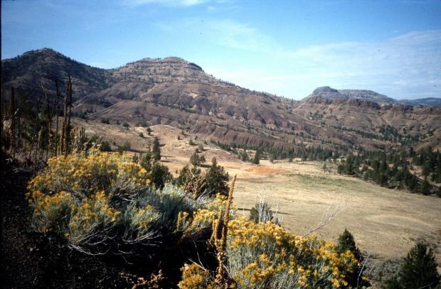 Geologietag feiern