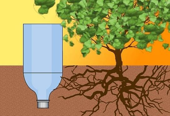 Sommertricks und mehr: Wie man die Tropfbewässerung aus Plastikflaschen mit eigenen Händen organisiert