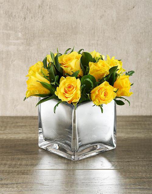 Wie verlängert man das Leben von Rosen in einer Vase? Pflege für Schnitt Rosen