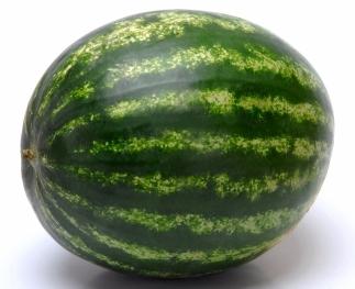 wie man eine Wassermelone in den Vororten anbaut