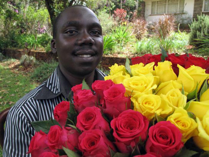 Kenianische Rose: Beschreibung, Vielfalt, Foto