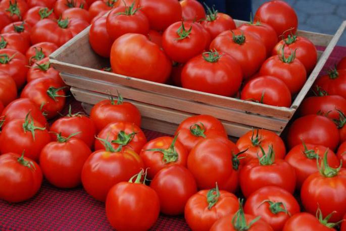 Tomate Valentine, Beschreibung. Wachsende Sämlinge, Bewertungen