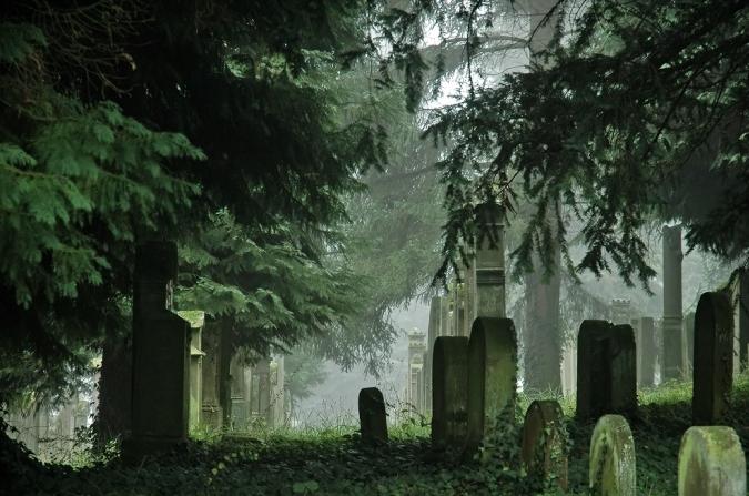 Traumbuchsuche nach einem Grab auf einem Friedhof