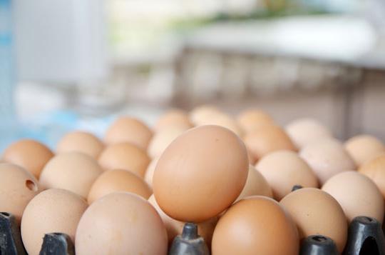 Wie man die Frische von Eiern bestimmt: mehrere bekannte Wege