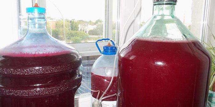 fermentiertes Kompott, wie man Wein macht