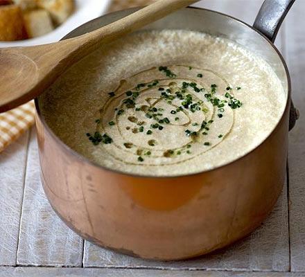 Champignoncremesuppe mit Sahne: Rezepte