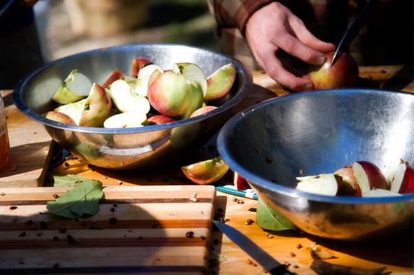 Apfelwein zu Hause: Wir bereiten leckeren Wein aus gewöhnlichen Äpfeln zu