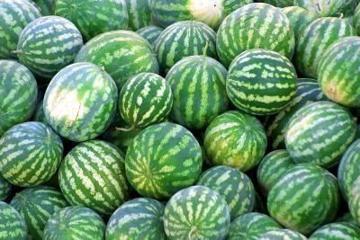 Wie man die Wassermelone bis zum neuen Jahr speichert