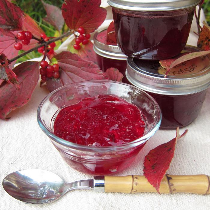 Marmelade Rezepte mit Preiselbeeren 