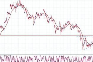 Forex Capital Management: wichtig über das Wichtige