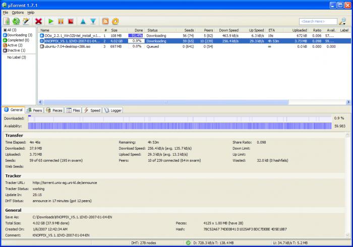 Was sind Sid, Feste, Verteilung: alles über den Torrent