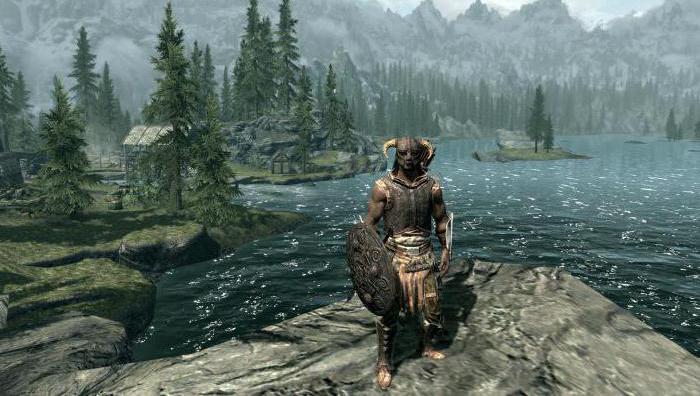 Skyrim in einem lokalen Netzwerk