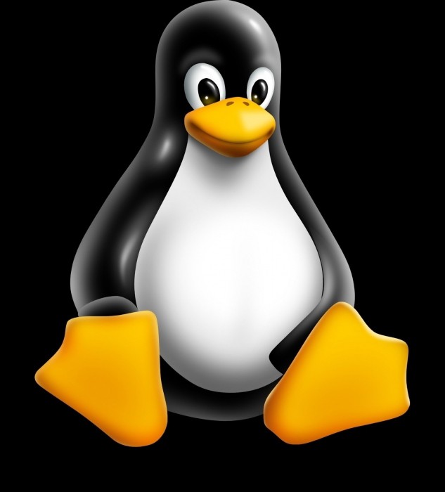 Wie finde ich die Version von Linux, die grundlegenden Befehle?