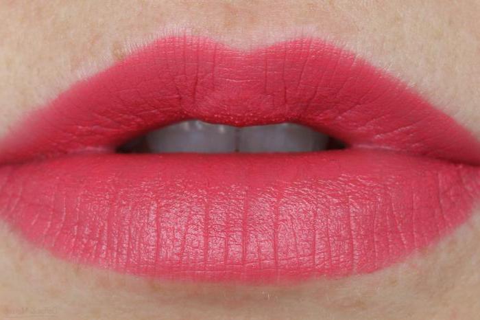 Kosmetik NYX. Lippenstift NYX - die perfekte Lösung für stylisches Make-up