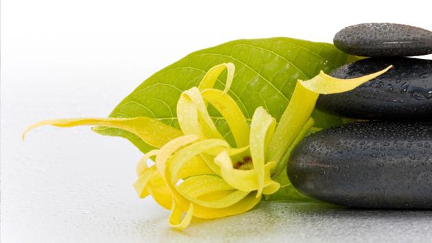 Haaröl Ylang Ylang