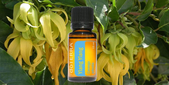 ätherisches Öl Ylang Ylang für Haare