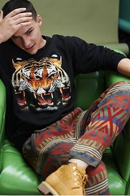 Jacke mit einem Tiger