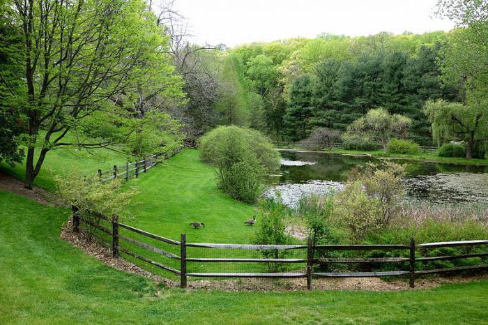 Was sind dendrologische Parks und botanische Gärten?