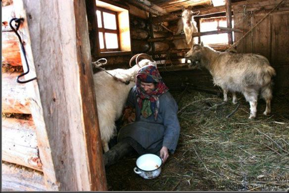 Einsiedler in der Taiga. Das Leben der Eremiten in der Taiga