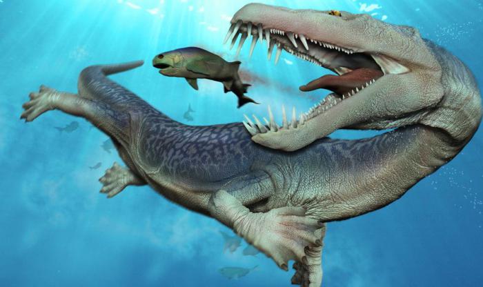 Arten von schwimmenden Dinosauriern