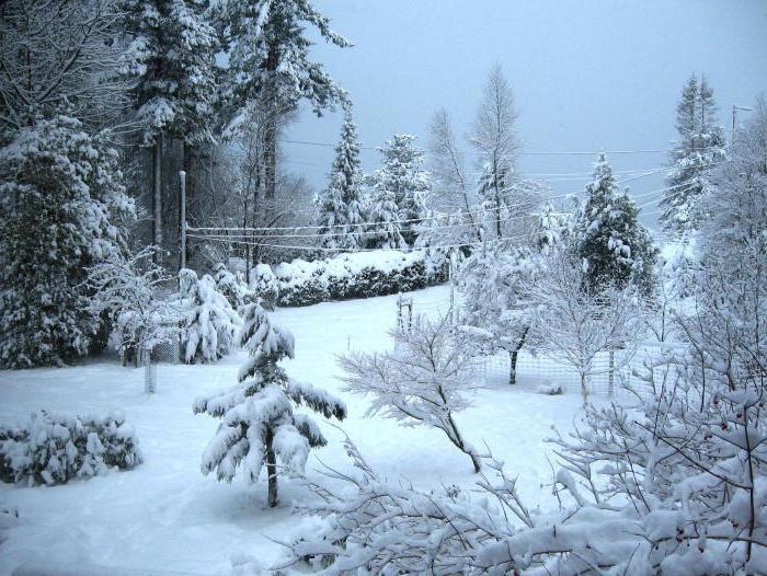 Sprichwörter über den Winter für Schulkinder