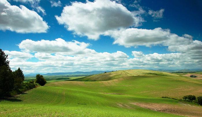 Die Naturgebiete Deutschlands und ihre Hauptmerkmale