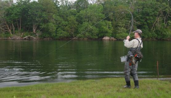 der Fluss von Onega Fischen