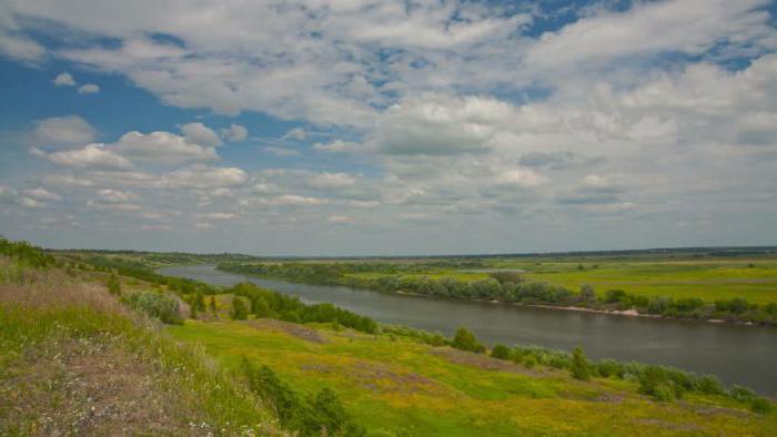 Pronya River (Ryazan Region): Beschreibung, Funktionen, Foto