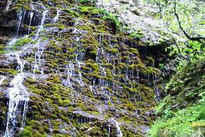 Tränen des Wasserfallmädchens 