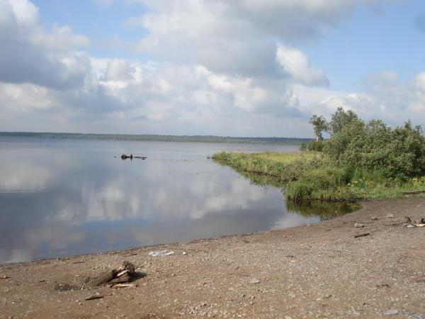 Volojarvi ist ein See in der Region Leningrad. Beschreibung, Angeln, Foto