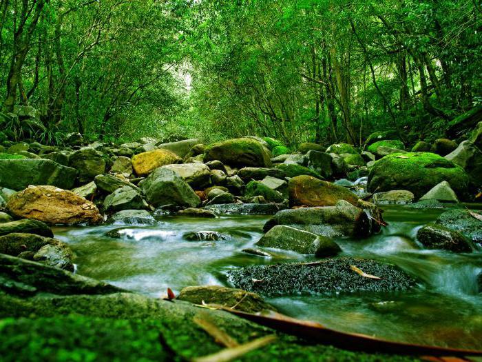 Wie verändern sich die Wasserstände im Fluss?