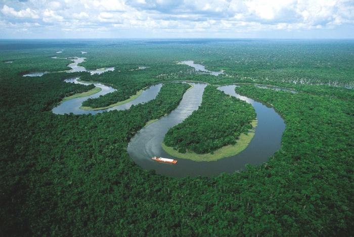 Was ist der längste Fluss der Welt?