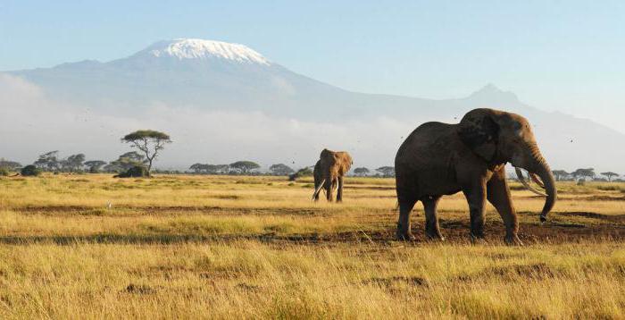 Merkmale der geografischen Lage und der Natur Afrikas. Wie ist der Kontinent Afrika im Vergleich zu anderen Kontinenten?