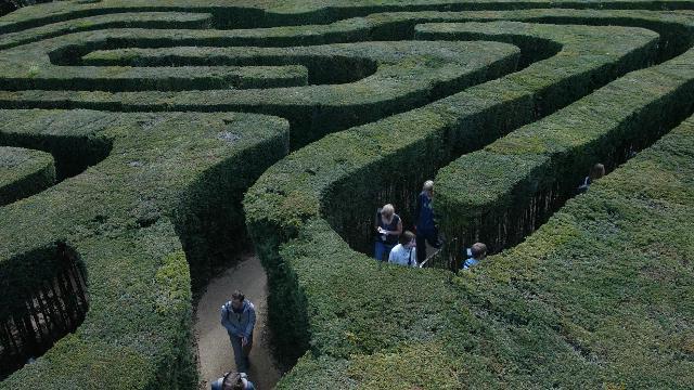 Hampton Court-Labyrinth