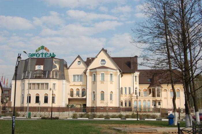 Noginsk Hotel Wirtschaft