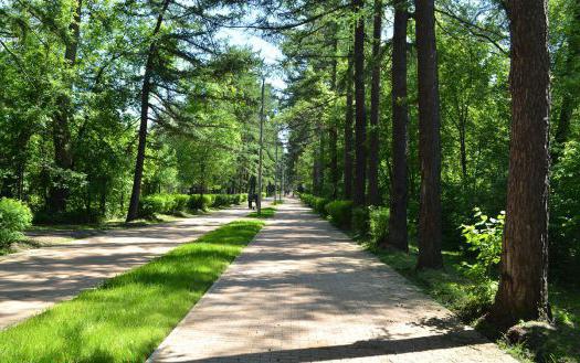 Sokolniki Park, Moskau