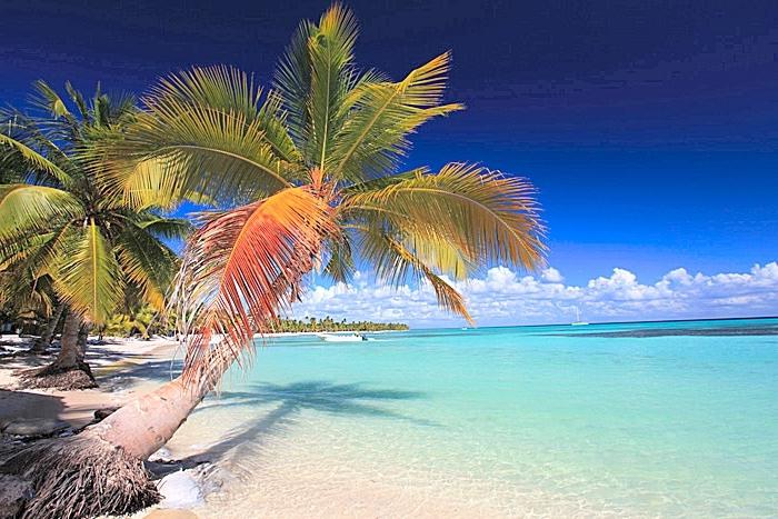 Reisen Sie nach Saona Island - Dream Beach