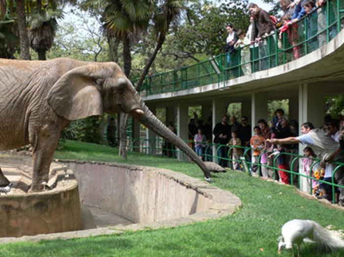 Zoo in Barcelona