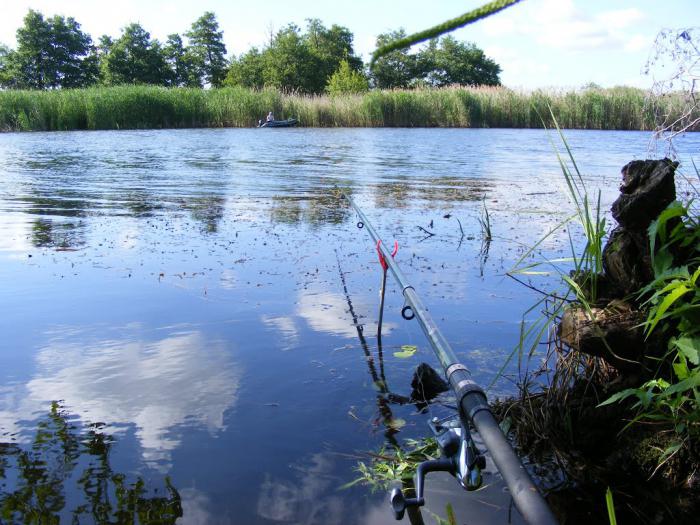 Angeln in der Region Dnipropetrovsk: Wo sind die Fischplätze?