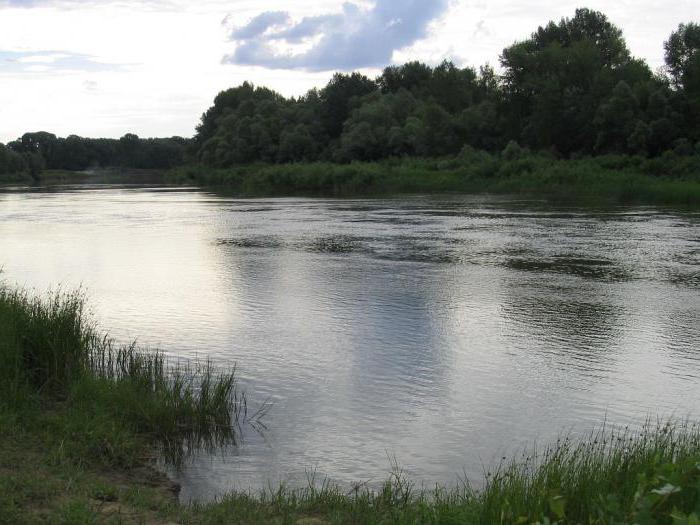 Angeln in Sol-Iletsk - ein schöner Urlaub für die ganze Familie