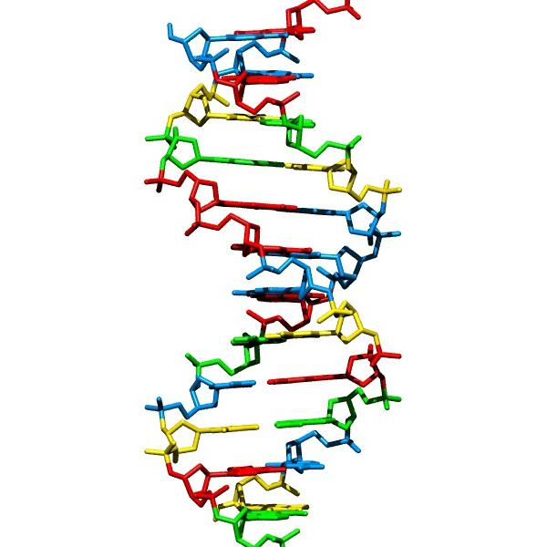 DNA-Synthese ist einfach!