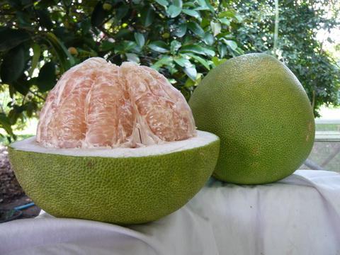 Pomelo kcal