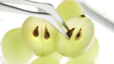 Nutzen und Schaden von Traubenkernen